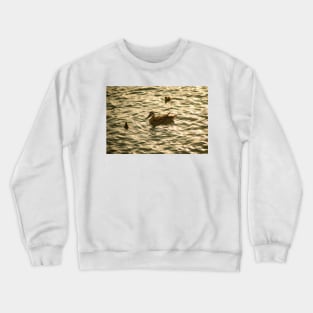 Mallard Ducks Crewneck Sweatshirt